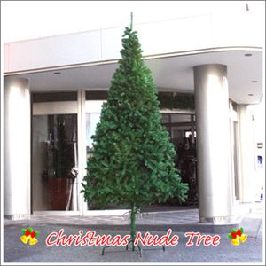 【クリスマス】300cmヌードツリー