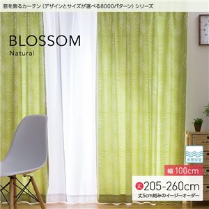 窓を飾るカーテン（デザインとサイズが選べる8000パターン）ナチュラル BLOSSOM（ブロッサム） 遮光2級 形態安定 （MZ） 幅100cm×丈225cm（2枚組） アイボリー