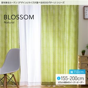 窓を飾るカーテン（デザインとサイズが選べる8000パターン）ナチュラル BLOSSOM（ブロッサム） 遮光2級 （MZ） 幅150cm×丈190cm（2枚組） グリーン
