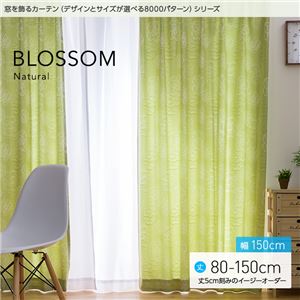 窓を飾るカーテン（デザインとサイズが選べる8000パターン）ナチュラル BLOSSOM（ブロッサム） 遮光2級 （MZ） 幅150cm×丈105cm（2枚組） グリーン