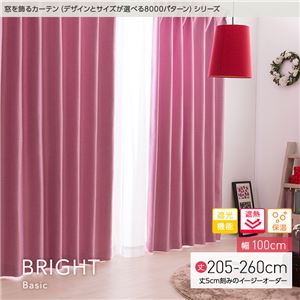 窓を飾るカーテン（デザインとサイズが選べる8000パターン）ベーシック無地 BRIGHT（ブライト） 遮光 遮熱 保温 （HZ） 幅100cm×丈205cm（2枚組） ブラウン