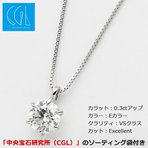 Tiffany（ティファニー） 33419708 パロマ・ピカソ オリーブ リーフ ダイヤモンドペンダント/ネックレス ミニ 16in 18KYG